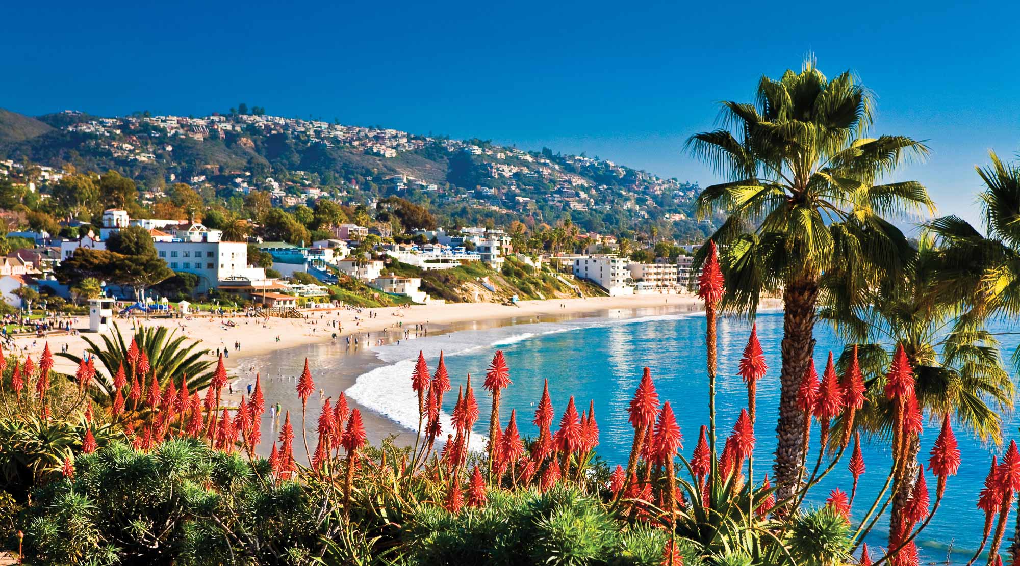 2024 USMS Summer Nationals Preview U.S. Masters Swimming